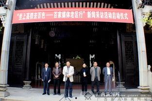 百色爆料新闻,揭秘当地热点事件背后的真相  第3张